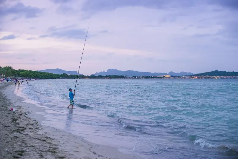 Strand und Bucht von Alcúdia mit Blick auf die Berge